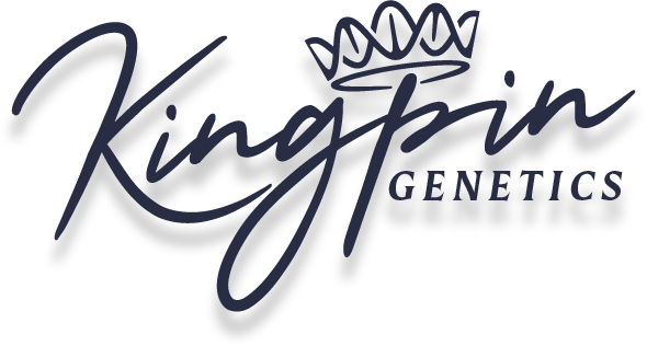 Kingpin Genetics