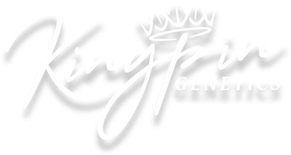 Kingpin Genetics